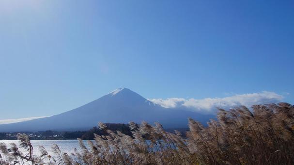 ススキと富士山 ススキと富士山の写真