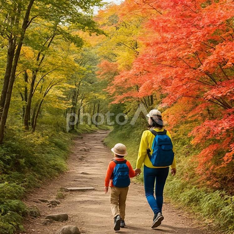 秋のハイキング風景 秋,ハイキング,自然の写真素材