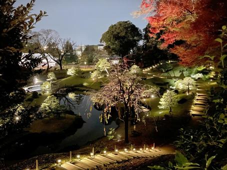 金沢城公園の紅葉のライトアップ もみじ,秋,風景の写真素材
