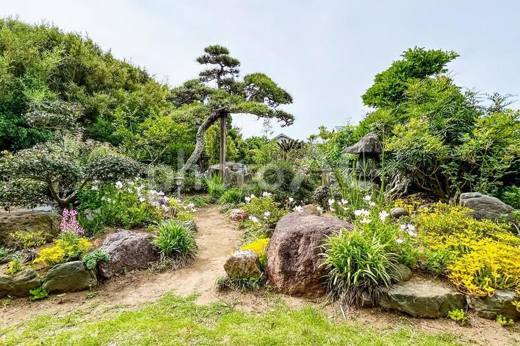 庭石と四季の花々で整えた日本家屋の庭 庭,庭石,景色の写真素材