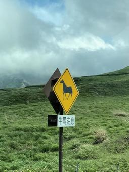 牛馬注意 牛馬注意,標識,注意の写真素材