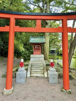 鳥居(浅間大社) 鳥居(浅間大社)の写真