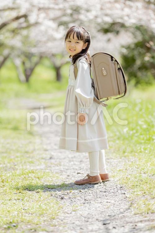 振り返る可愛い新一年生 新一年生,一年生,振り返るの写真素材