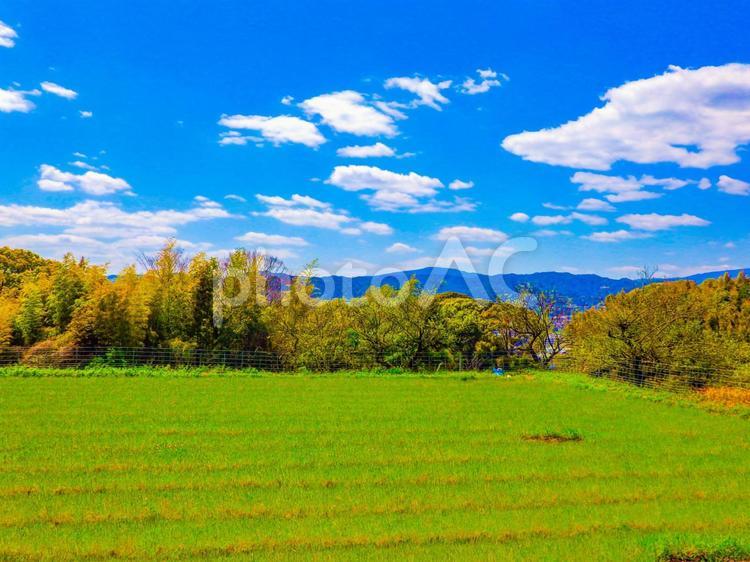 美しい畑の風景 風景,青空,空の写真素材