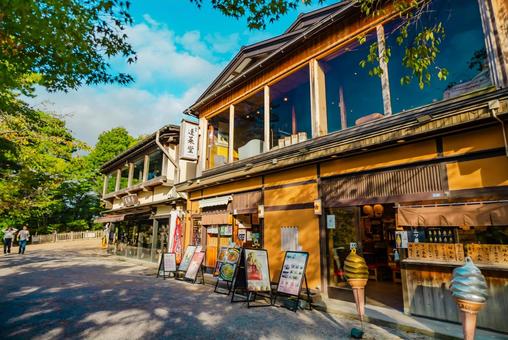 【石川】兼六園 文化財指定庭園 兼六園,石川,文化財指定庭園の写真素材