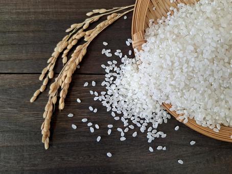 お米と稲穂_焦茶木目バック_16 お米と稲穂_焦茶木目バック_16の写真
