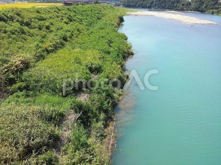 緑と川の清々しい風景 川,河川,自然の写真素材