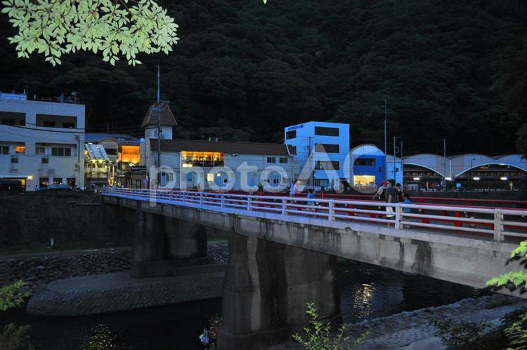 箱根湯本　あじさい橋 箱根湯本,あじさい橋,夜の写真素材