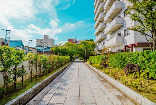 【新潟】新潟駅周辺の街並み 【新潟】新潟駅周辺の街並みの写真