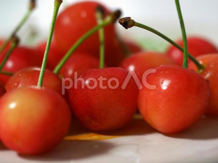 さくらんぼ２ さくらんぼ,果物,器の写真素材