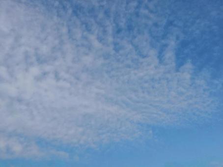 【空の写真】秋空 秋空,空,雲の写真素材