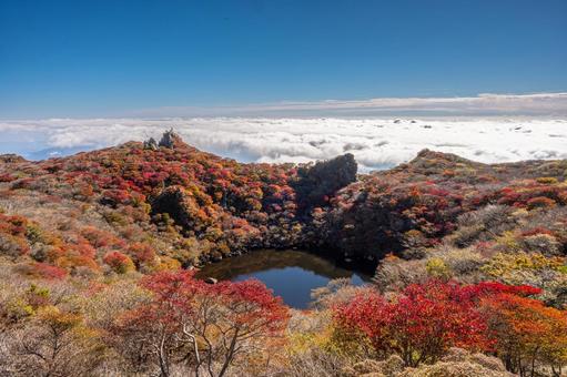 大船山の紅葉2025の写真