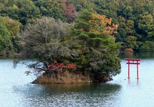 湖の色づき始めた初秋の風 湖面,初秋,色づき始めの写真素材