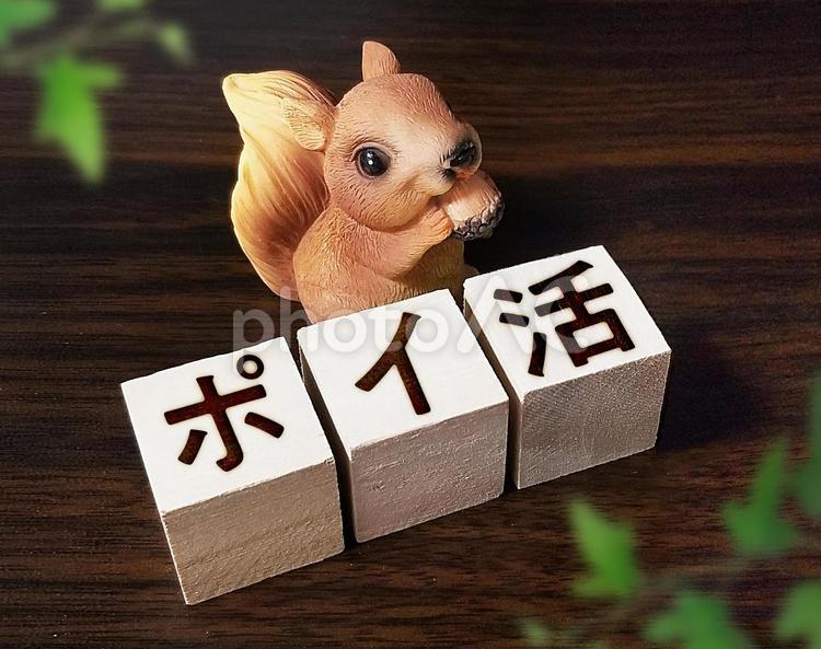 ポイ活の文字が書かれた木製ブロック ポイ活,ポイント,節約の写真素材
