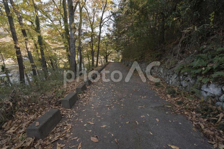 秩父長瀞岩畳の秋模様 秩父,長瀞,岩畳の写真素材