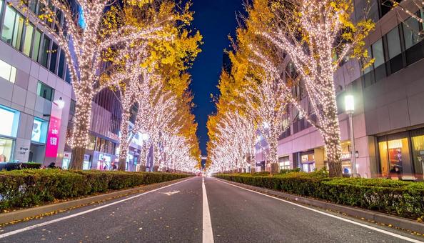 クリスマスの夜の街路樹の通り クリスマスの夜の街路樹の通りの写真