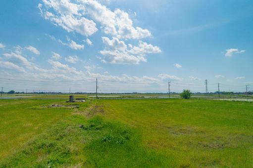 広大な栃木の農業地帯 田舎,田んぼ,栃木の写真素材