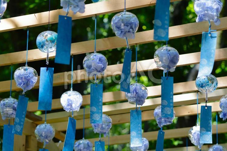 長居植物園の風鈴4 風鈴,夏,新緑の写真素材