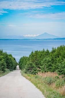 北海道 宗谷丘陵 白い道 北海道 宗谷丘陵 白い道の写真