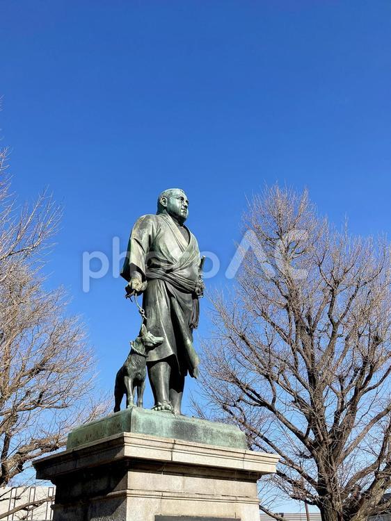 東京風景・上野公園 上野公園,上野恩賜公園,西郷隆盛像の写真素材