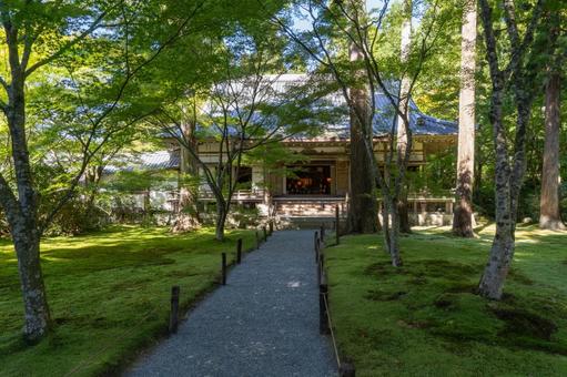 京都 大原三千院 宸殿 京都 大原三千院 宸殿 三千院,門跡寺院,大原の写真素材