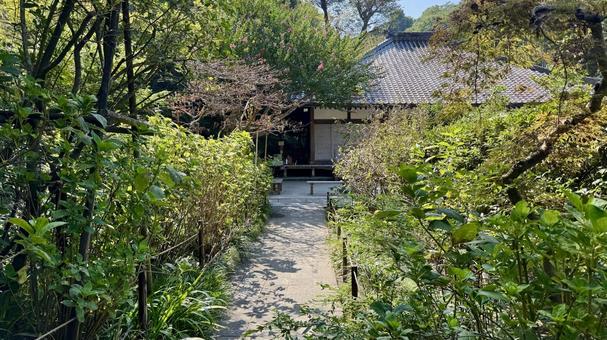 隠れ家 隠れ家 明月院,寺社仏閣,カフェの写真素材