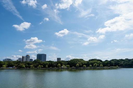 福岡の都会のオアシス 大濠公園,公園,博多の写真素材