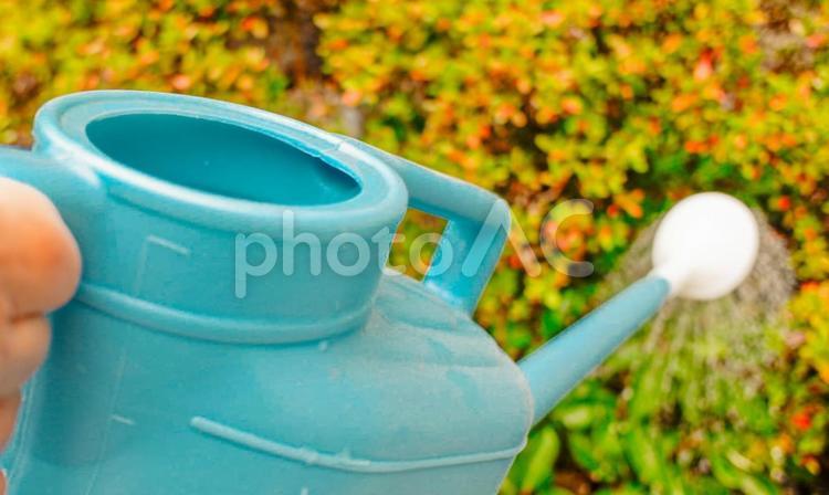 ジョウロで水やりをする人　No.2 水やり,ジョウロ,植木の写真素材
