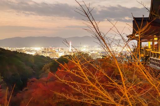 三重塔ライトアップと紅葉と京都タワー5 三重塔ライトアップと紅葉と京都タワー5 清水寺,三重塔,ライトアップの写真素材