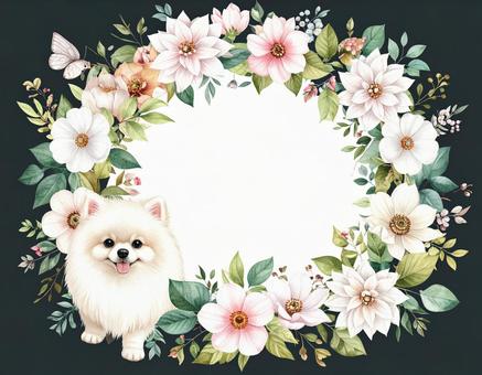 ポメラニアンと花のフレームの写真