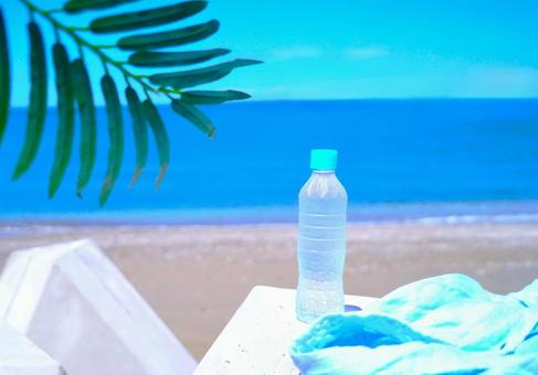 Palm leaves, bottle and blue shirt, JPG