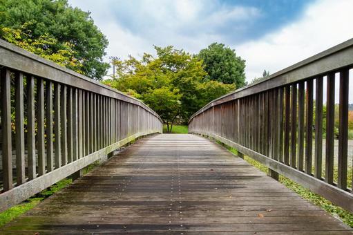 天沼公園の風景⒃ 天沼公園の風景⒃ 公園,天沼公園,木々の写真素材
