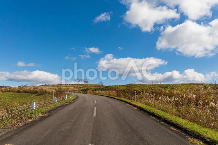 秋　秋の風景  道路,秋,秋の風景の写真素材