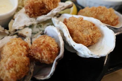 カキフライ定食03 牡蠣,カキフライ,定食の写真素材