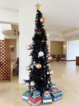 クリスマスツリーとプレゼント クリスマスツリー,クリスマス,ツリーの写真素材