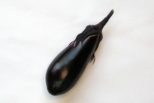 ナスびの収穫 ナスびの収穫の写真