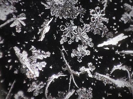 雪の結晶の接写 雪の結晶の接写の写真