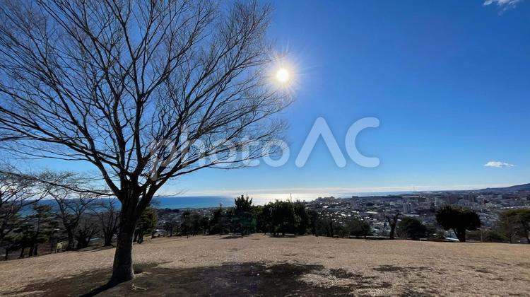 海と市街を見下ろせる公園 空,太陽,木の写真素材