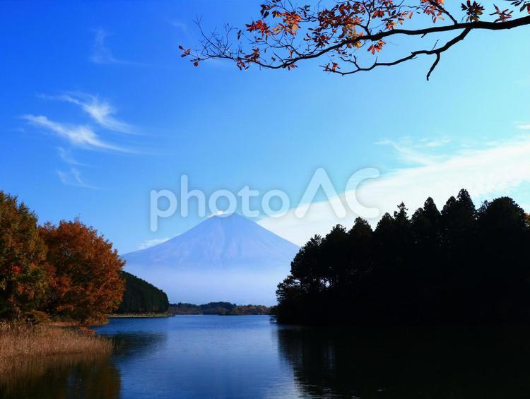 富士山と田貫湖の風景 富士山,田貫湖,風景の写真素材