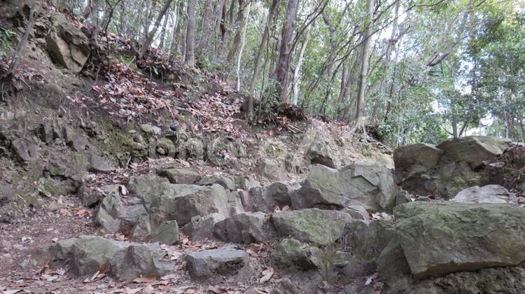 山崎合戦古戦場　天王山　登山道 山崎古戦場,山崎合戦古戦場,山崎の戦いの写真素材