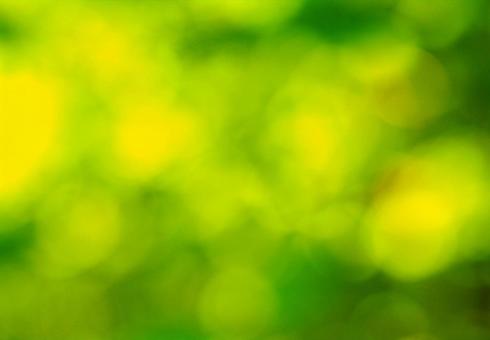 玉ボケ鮮やかな緑グリーンの背景素材画像 玉ボケ鮮やかな緑グリーンの背景素材画像の写真