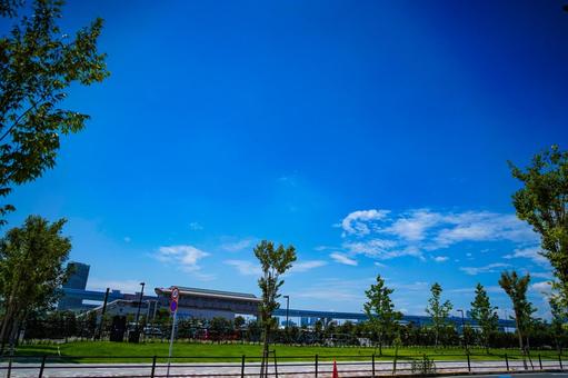 芝生と広がる空 芝生と広がる空 有明,東京都,日本の写真素材
