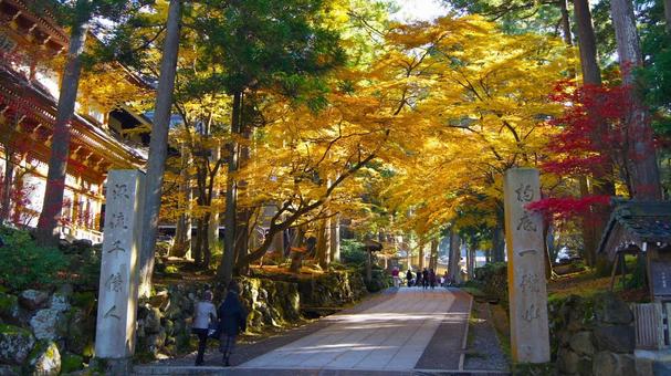 紅葉の永平寺:2 紅葉の永平寺:2 永平寺,紅葉,もみじの写真素材