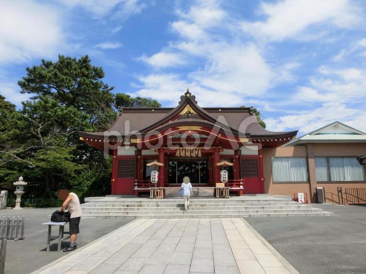 稲毛浅間神社の景色-13 稲毛浅間神社,千葉県千葉市稲毛区稲毛,参道の写真素材