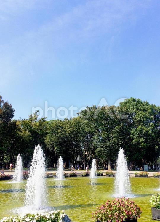 東京風景・上野公園 上野公園,上野恩賜公園,噴水広場の写真素材