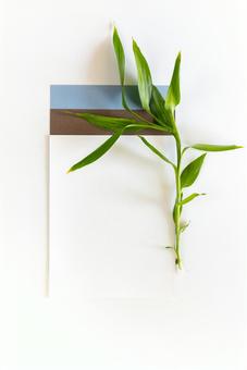 重なった水色と茶色と白の紙と植物 重なった水色と茶色と白の紙と植物 モックアップ,物撮り,紙の写真素材