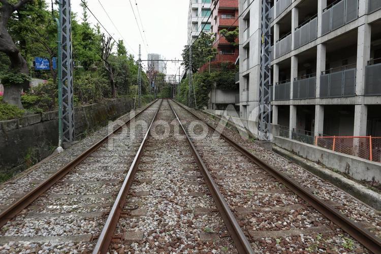 都電荒川線　線路 路面電車,東京,都電の写真素材
