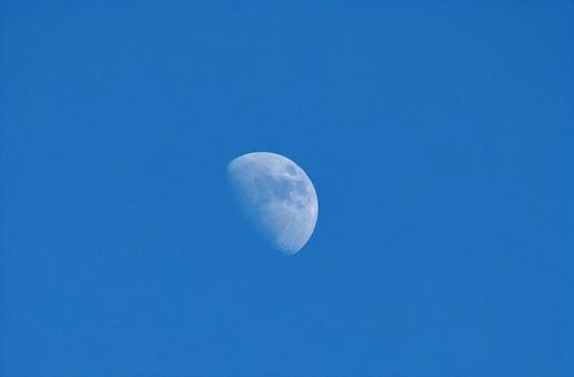 昼間の月 半月 昼間の月 半月の写真