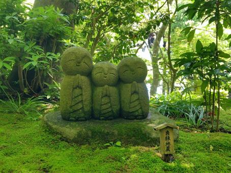 長谷寺の癒やしのお地蔵さん 長谷寺の癒やしのお地蔵さん お地蔵さん,地蔵,仏像の写真素材