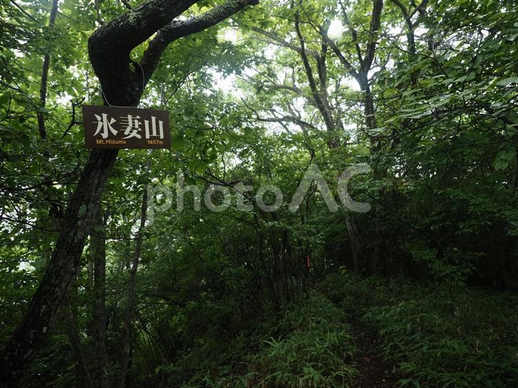 上信越高原国立公園・氷妻山山頂 氷妻山,山頂,標識の写真素材